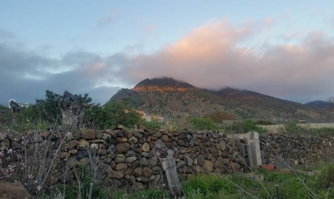 Granja rosaburiente