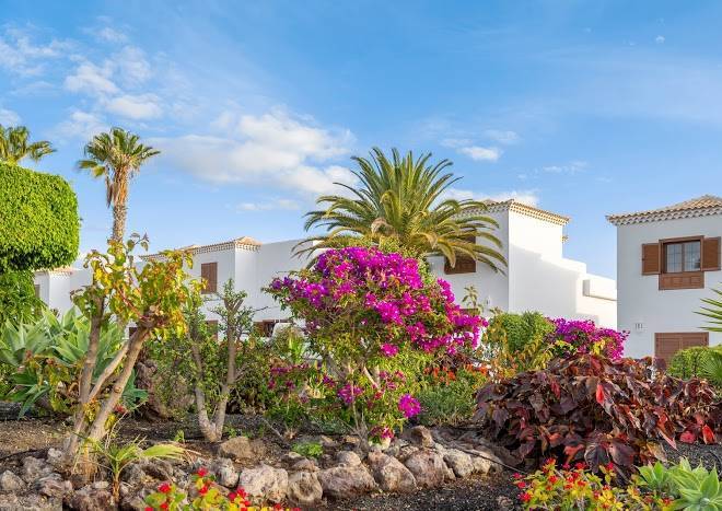 Royal tenerife country club by diamond resorts