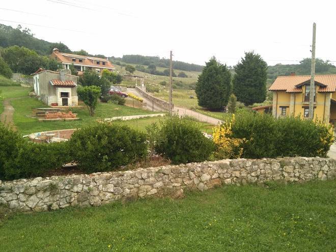 La oliva
