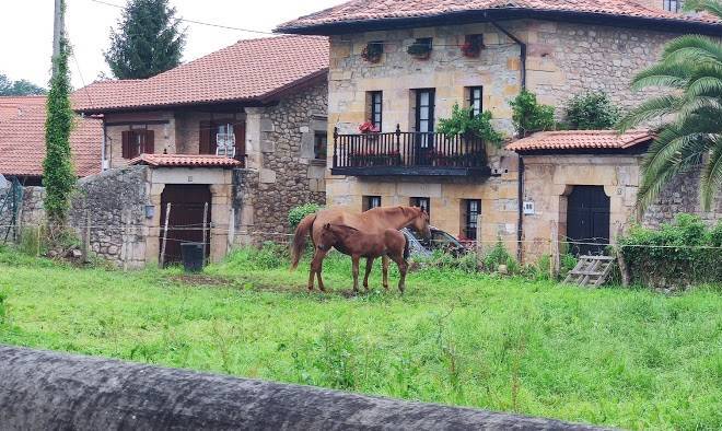 Los mantos vivienda rurales
