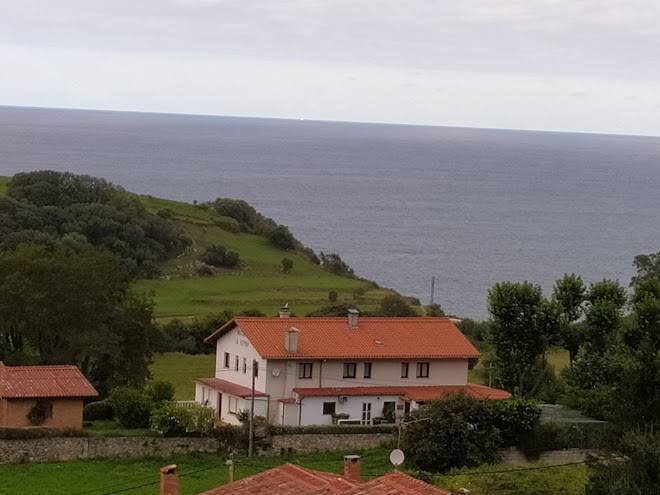 La espina de pechon