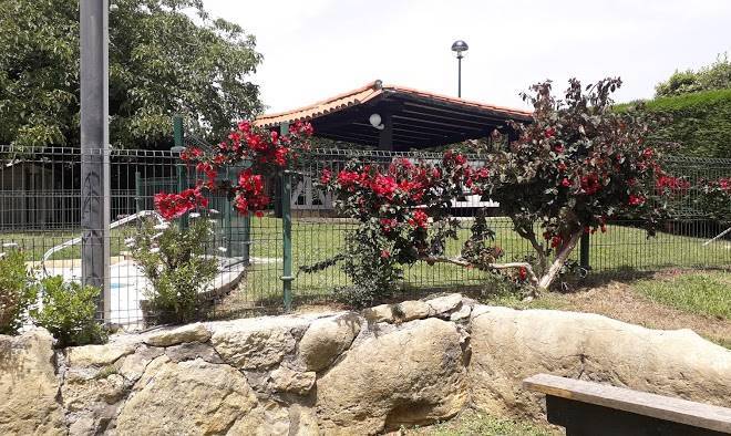 Las anjanas