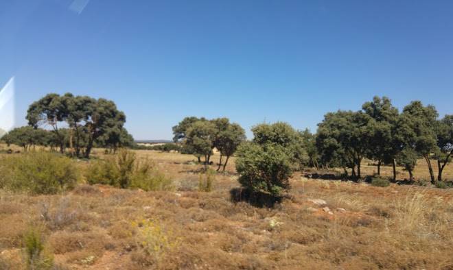 Cabanas quijote y sancho ruidera