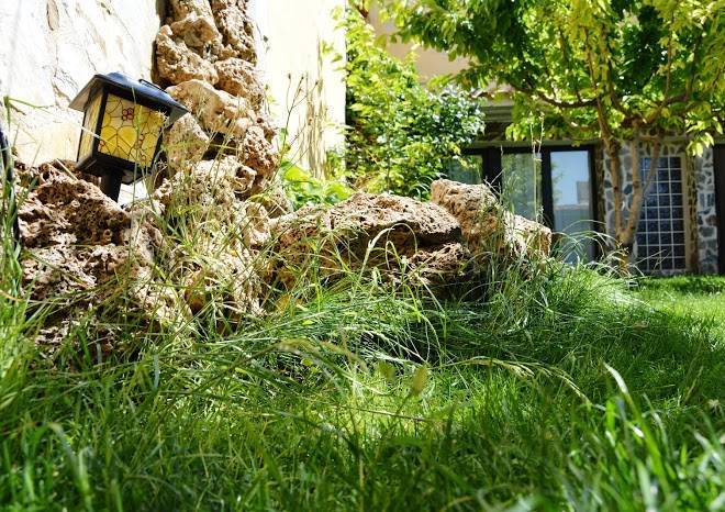 El capricho del almazaran