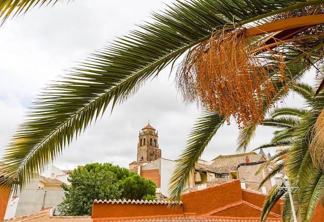 Alojamiento rural el nido de alcudia suites