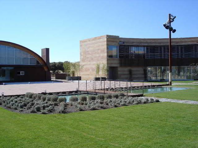 Tienda de vinos pago del vicario