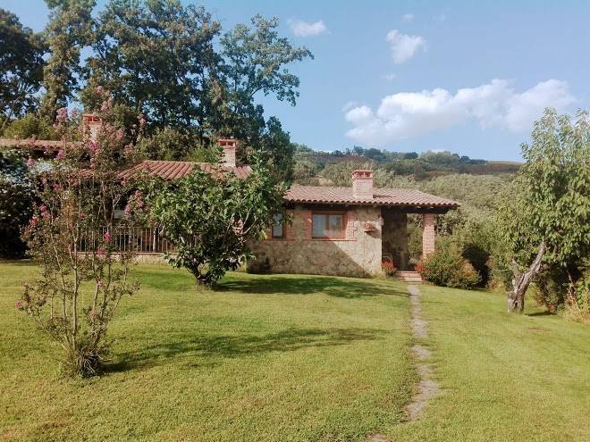 El higueral de la sayuela