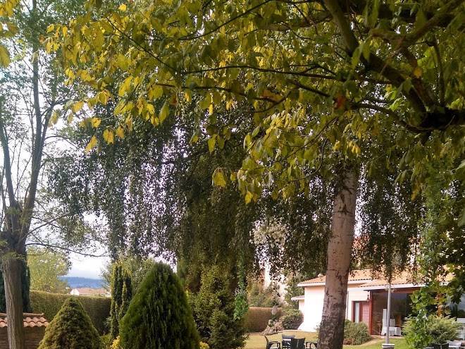 Hotel plati