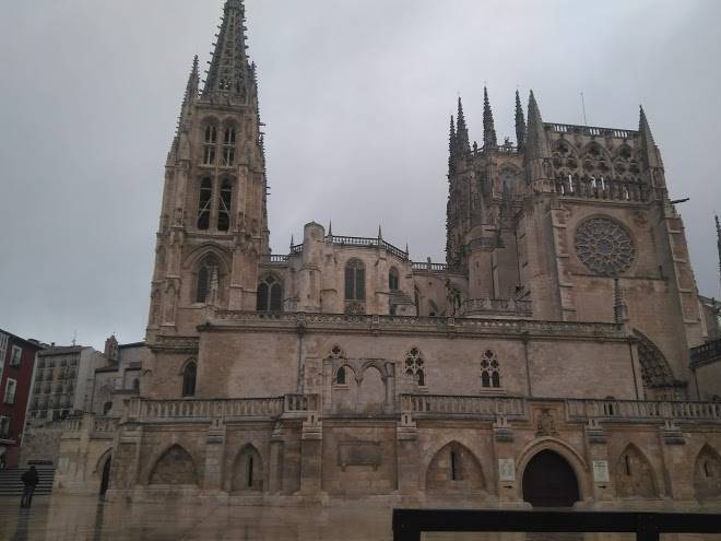 Urban burgos