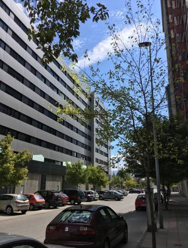 Alojamiento la rosaleda