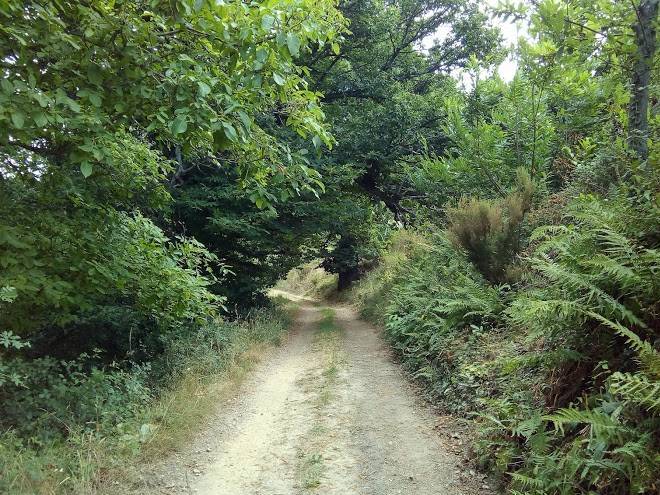 Las Cuatro Estaciones Image