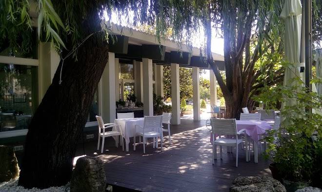 Estrella Del Bajo Carrion Image