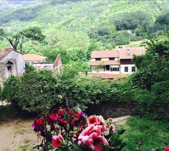Hotel rural el jardin del conde