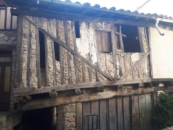 Los nidos de isabel