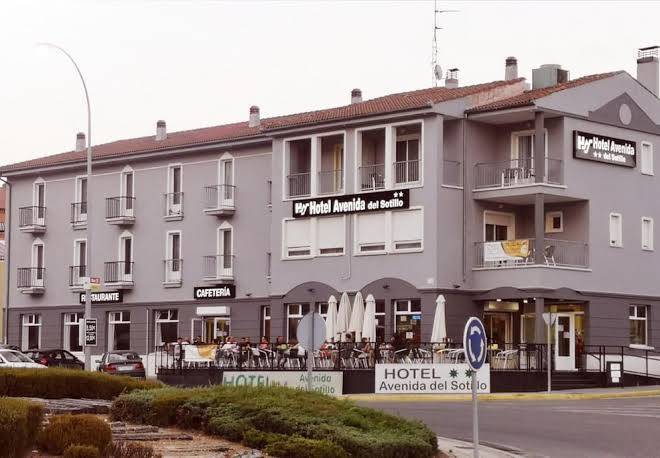 Hotel avenida del sotillo