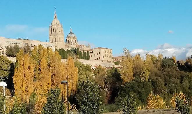 La casona del pinar