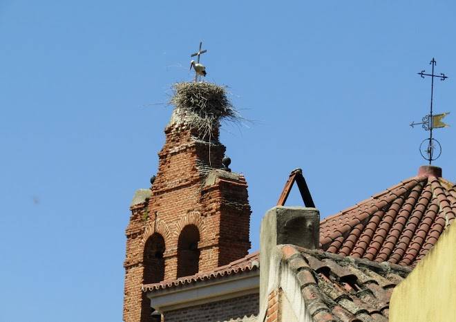 Hotel roma