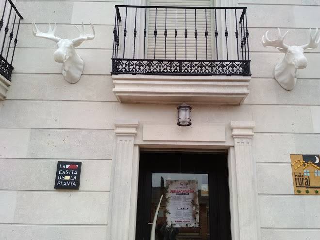 La casita de la planta