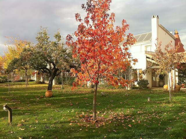 Hotel rural marialba