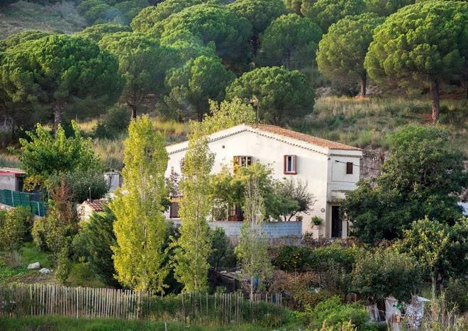 Can tramontana