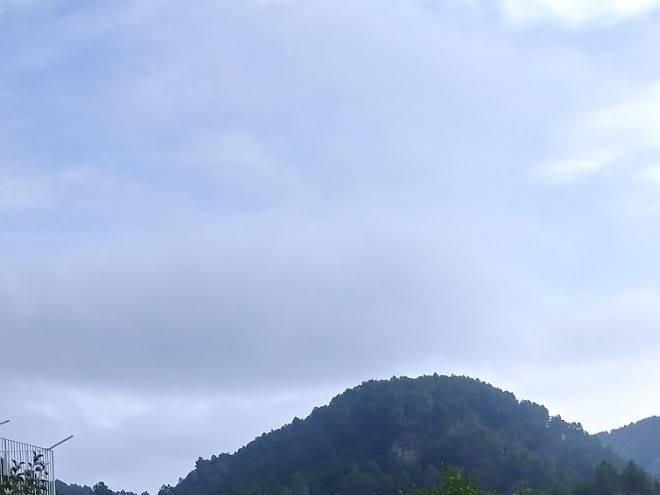 Cau del segimon