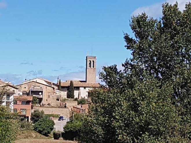 El pla de moixons