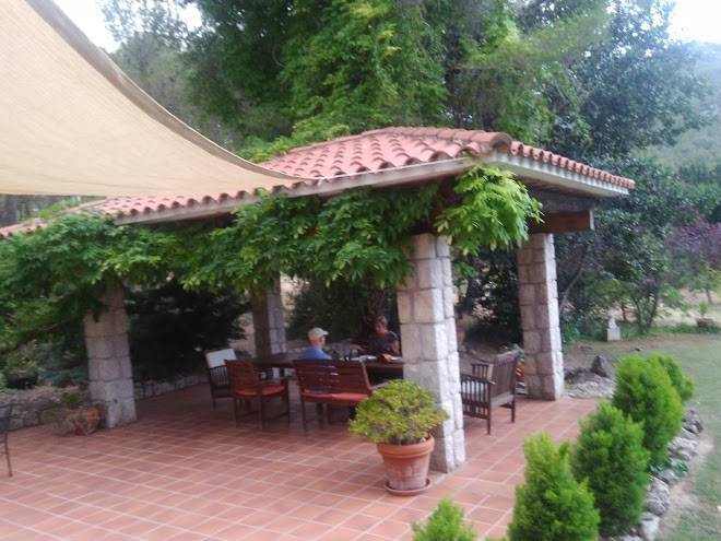 La ginesta