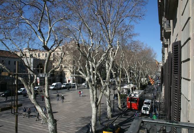 Ramblas by pillow