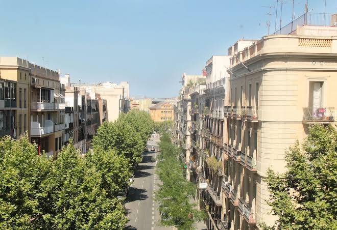 Som Nit Triomf Image