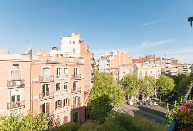 Weflating sant antoni market