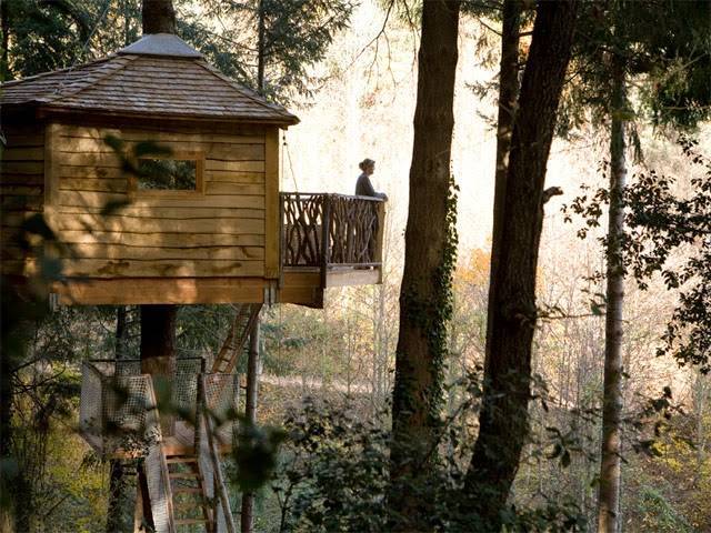 Cabanes als arbres