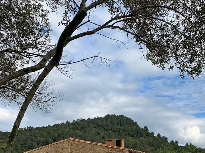 Can buch ecoturisme