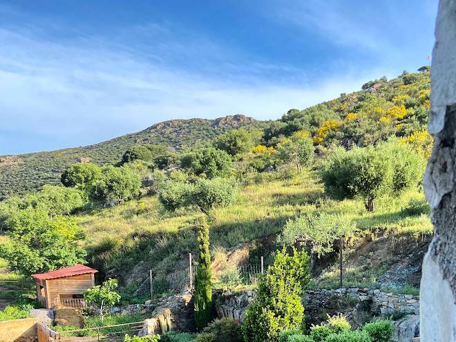 Can massana