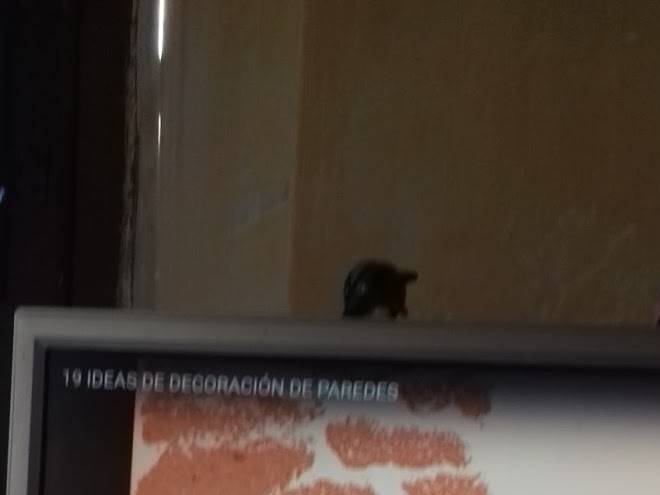 Can Sola Turisme Rural Image