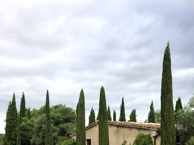 Finca els olivers