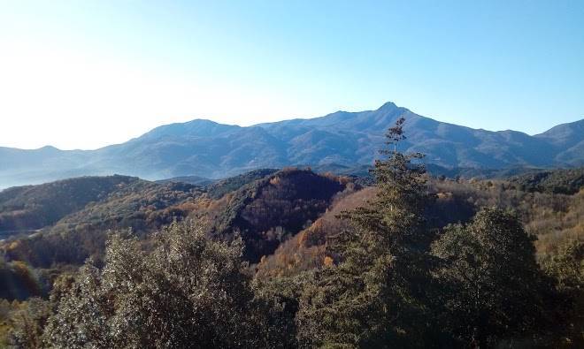 La vinyota d'en peroler