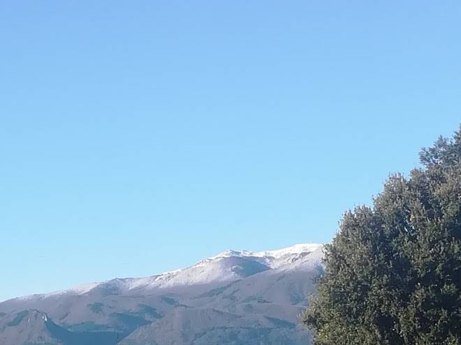 La vinyota