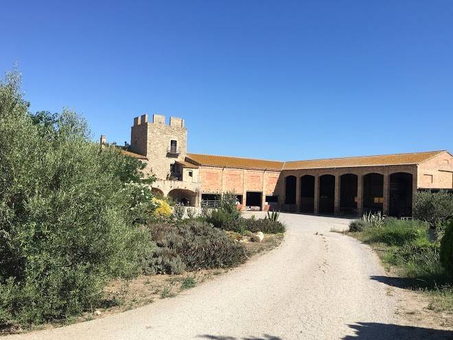 Mas de la torre