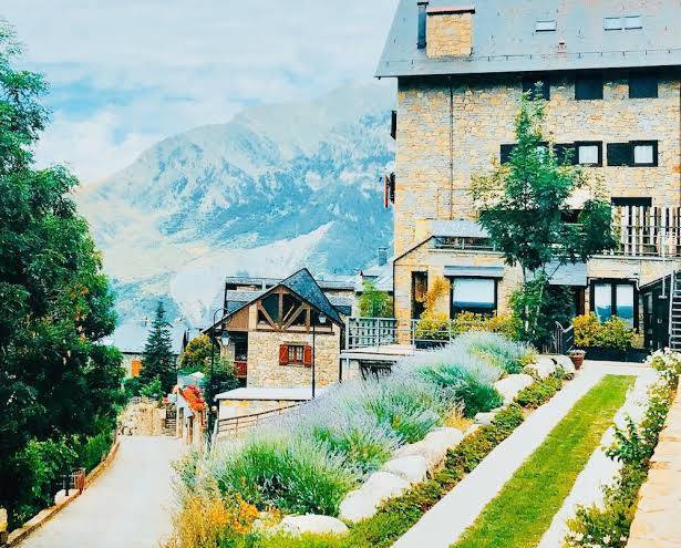Alberg taull
