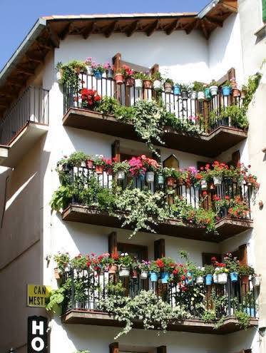 Hotel mestre s l