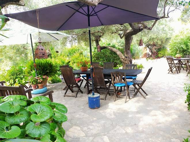 Finca de sauco