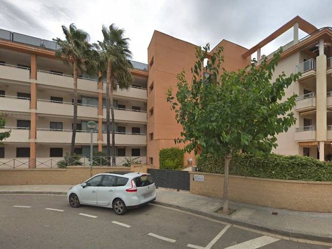 Les oliveres iv