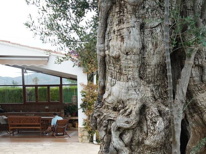 Lo Prat De La Maria Image