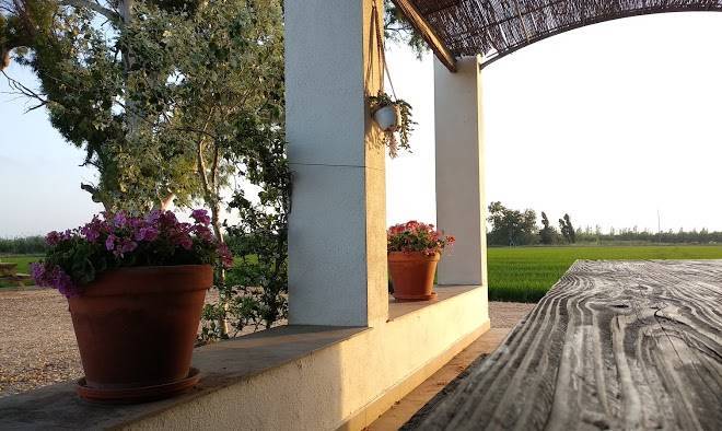 Mas Dels Bonos Image