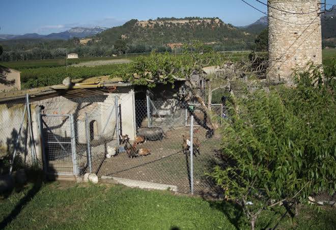 Mas taniet hotel rural