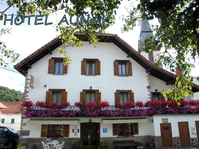 Hotel aunak