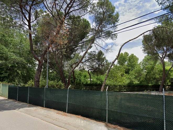 Alanda marbella