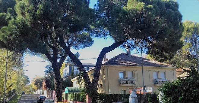 Aravaca Garden Image