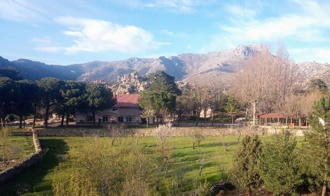 Finca los almorchones y albergue