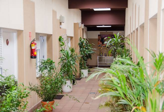 Hotel ciudad de alcala
